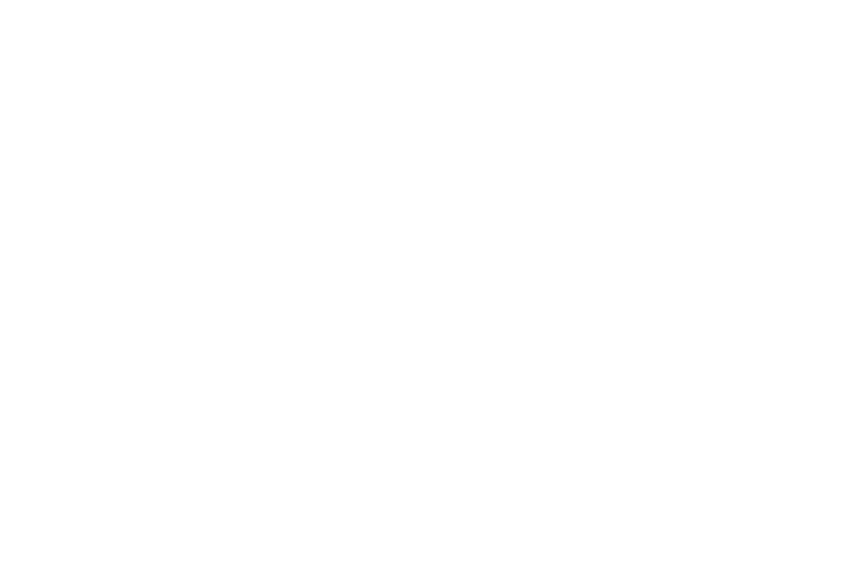 Logo Pistaaa bianco