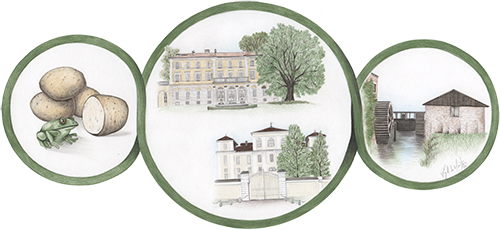 oOo Villastellone low